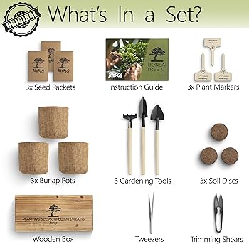 Amazon.com : Avergo Bonsai Tree Kit – 3X Unique Japanese Bonzai
